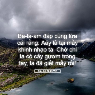 Picture 05 - Dân Số 22:29 VIE - Ba-la-am đáp cùng lừa cái rằng: Aáy là - Bible Verse Picture
