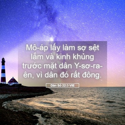 Picture 05 - Dân Số 22:3 VIE - Mô-áp lấy làm sợ sệt lắm và kinh - Bible Verse Picture