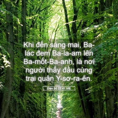 Picture 05 - Dân Số 22:41 VIE - Khi đến sáng mai, Ba-lác đem Ba-la-am lên - Bible Verse Picture