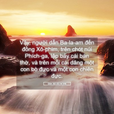 Picture 05 - Dân Số 23:14 VIE - Vậy, người dẫn Ba-la-am đến đồng - Bible Verse Picture