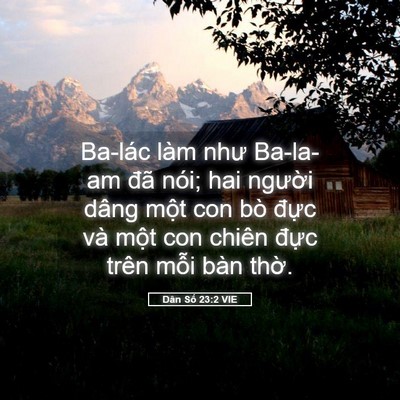 Picture 05 - Dân Số 23:2 VIE - Ba-lác làm như Ba-la-am đã nói; hai - Bible Verse Picture