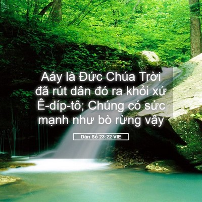 Picture 05 - Dân Số 23:22 VIE - Aáy là Đức Chúa Trời đã rút dân đó - Bible Verse Picture