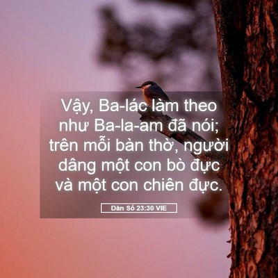 Picture 05 - Dân Số 23:30 VIE - Vậy, Ba-lác làm theo như Ba-la-am đã nói; - Bible Verse Picture