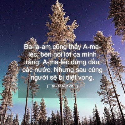 Picture 05 - Dân Số 24:20 VIE - Ba-la-am cũng thấy A-ma-léc, bèn nói lời - Bible Verse Picture