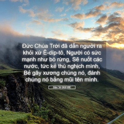 Picture 05 - Dân Số 24:8 VIE - Đức Chúa Trời đã dẫn người ra khỏi - Bible Verse Picture