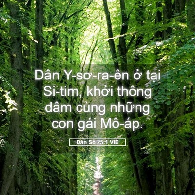 Picture 05 - Dân Số 25:1 VIE - Dân Y-sơ-ra-ên ở tại Si-tim, khởi thông - Bible Verse Picture