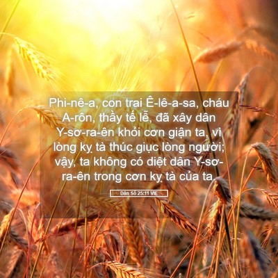 Picture 05 - Dân Số 25:11 VIE - Phi-nê-a, con trai Ê-lê-a-sa, cháu A-rôn, - Bible Verse Picture