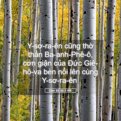 Picture 05 - Dân Số 25:3 VIE - Y-sơ-ra-ên cũng thờ thần Ba-anh-Phê-ô, - Bible Verse Picture