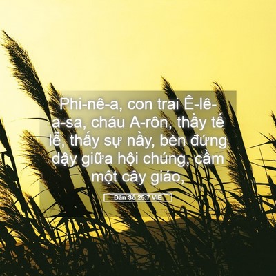 Picture 05 - Dân Số 25:7 VIE - Phi-nê-a, con trai Ê-lê-a-sa, cháu A-rôn, - Bible Verse Picture