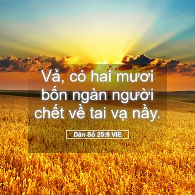 Picture 05 - Dân Số 25:9 VIE - Vả, có hai mươi bốn ngàn người chết - Bible Verse Picture