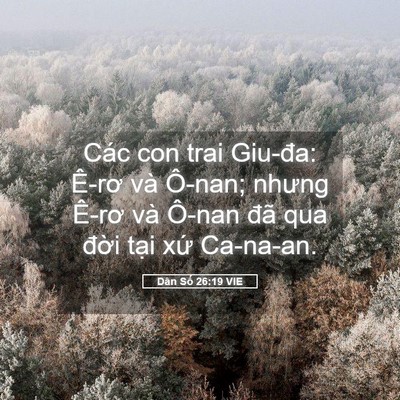 Picture 05 - Dân Số 26:19 VIE - Các con trai Giu-đa: Ê-rơ và Ô-nan; nhưng - Bible Verse Picture