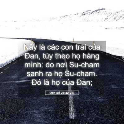 Picture 05 - Dân Số 26:42 VIE - Nầy là các con trai của Đan, tùy theo - Bible Verse Picture