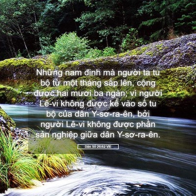 Picture 05 - Dân Số 26:62 VIE - Những nam đinh mà người ta tu bộ từ - Bible Verse Picture