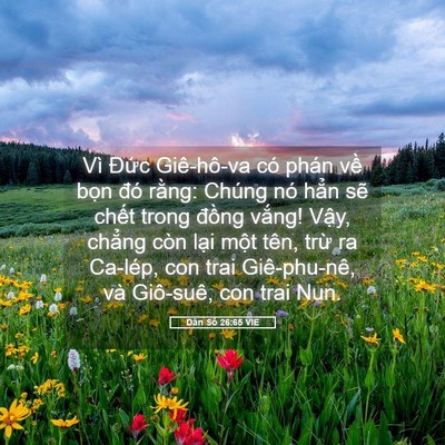 Picture 05 - Dân Số 26:65 VIE - Vì Đức Giê-hô-va có phán về bọn đó - Bible Verse Picture