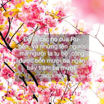 Picture 05 - Dân Số 26:7 VIE - Đó là các họ của Ru-bên, và những - Bible Verse Picture