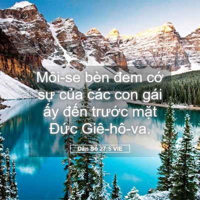 Picture 05 - Dân Số 27:5 VIE - Môi-se bèn đem cớ sự của các con gái - Bible Verse Picture
