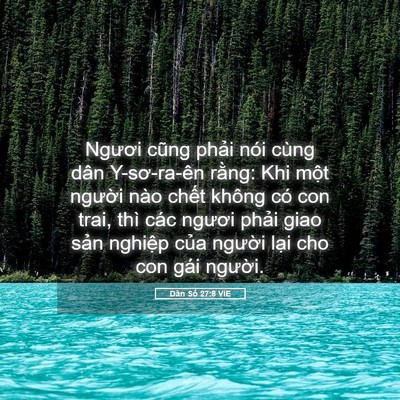 Picture 05 - Dân Số 27:8 VIE - Ngươi cũng phải nói cùng dân Y-sơ-ra-ên - Bible Verse Picture