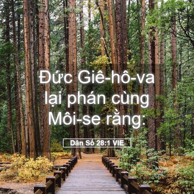 Picture 05 - Dân Số 28:1 VIE - Đức Giê-hô-va lại phán cùng Môi-se - Bible Verse Picture