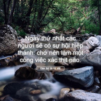 Picture 05 - Dân Số 28:18 VIE - Ngày thứ nhất các ngươi sẽ có sự - Bible Verse Picture