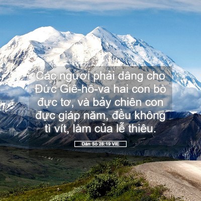 Picture 05 - Dân Số 28:19 VIE - Các ngươi phải dâng cho Đức Giê-hô-va - Bible Verse Picture