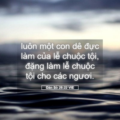 Picture 05 - Dân Số 28:22 VIE - luôn một con dê đực làm của lễ - Bible Verse Picture