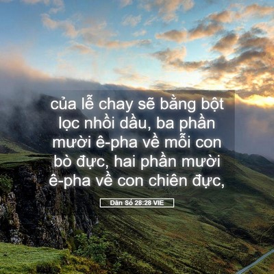 Picture 05 - Dân Số 28:28 VIE - của lễ chay sẽ bằng bột lọc nhồi - Bible Verse Picture