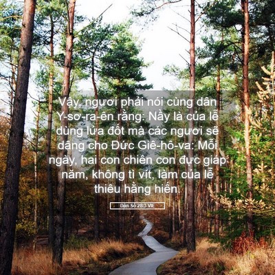 Picture 05 - Dân Số 28:3 VIE - Vậy, ngươi phải nói cùng dân - Bible Verse Picture