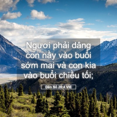 Picture 05 - Dân Số 28:4 VIE - Ngươi phải dâng con nầy vào buổi sớm - Bible Verse Picture