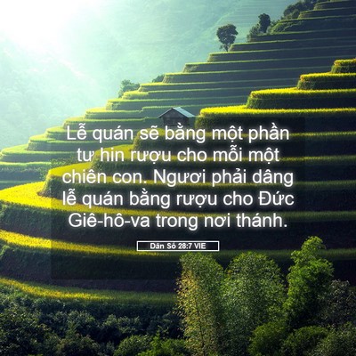 Picture 05 - Dân Số 28:7 VIE - Lễ quán sẽ bằng một phần tư hin - Bible Verse Picture