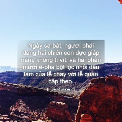 Picture 05 - Dân Số 28:9 VIE - Ngày sa-bát, ngươi phải dâng hai chiên - Bible Verse Picture