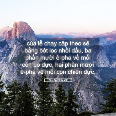 Picture 05 - Dân Số 29:14 VIE - của lễ chay cặp theo sẽ bằng bột - Bible Verse Picture