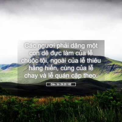 Picture 05 - Dân Số 29:25 VIE - Các ngươi phải dâng một con dê đực - Bible Verse Picture
