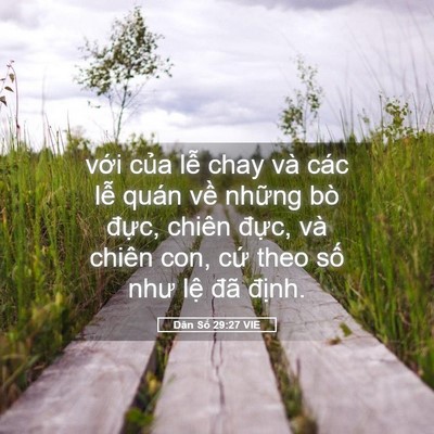 Picture 05 - Dân Số 29:27 VIE - với của lễ chay và các lễ quán về - Bible Verse Picture