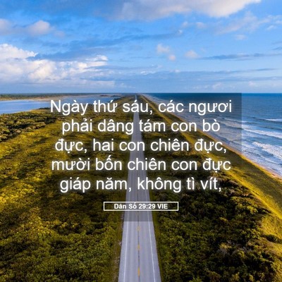Picture 05 - Dân Số 29:29 VIE - Ngày thứ sáu, các ngươi phải dâng tám - Bible Verse Picture