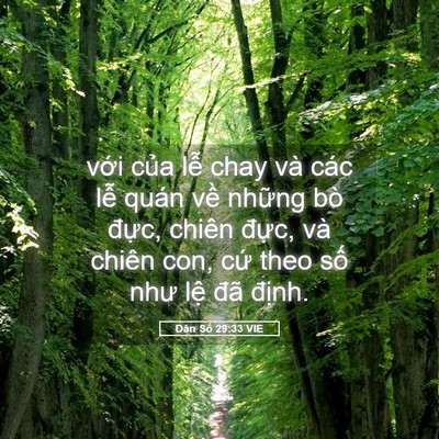 Picture 05 - Dân Số 29:33 VIE - với của lễ chay và các lễ quán về - Bible Verse Picture