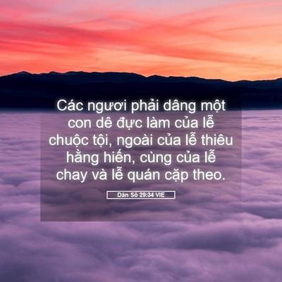 Picture 05 - Dân Số 29:34 VIE - Các ngươi phải dâng một con dê đực - Bible Verse Picture