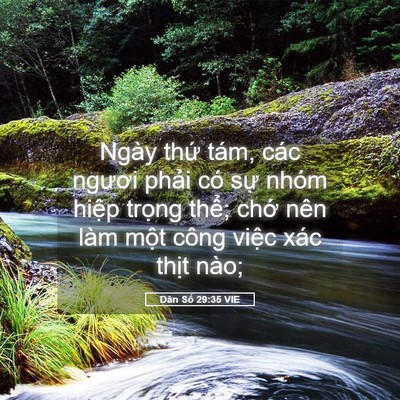 Picture 05 - Dân Số 29:35 VIE - Ngày thứ tám, các ngươi phải có sự - Bible Verse Picture