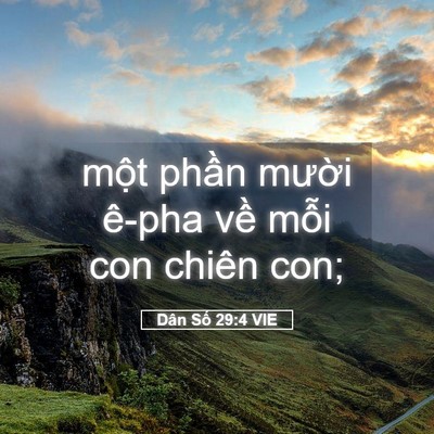 Picture 05 - Dân Số 29:4 VIE - một phần mười ê-pha về mỗi con chiên - Bible Verse Picture
