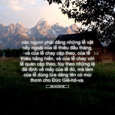 Picture 05 - Dân Số 29:6 VIE - các ngươi phải dâng những lễ vật - Bible Verse Picture
