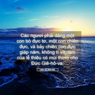 Picture 05 - Dân Số 29:8 VIE - Các ngươi phải dâng một con bò đực - Bible Verse Picture