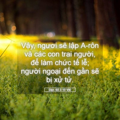 Picture 05 - Dân Số 3:10 VIE - Vậy, ngươi sẽ lập A-rôn và các con - Bible Verse Picture