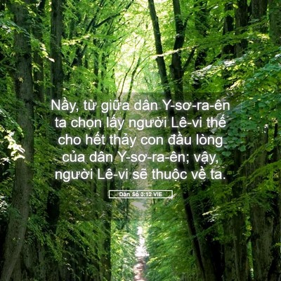 Picture 05 - Dân Số 3:12 VIE - Nầy, từ giữa dân Y-sơ-ra-ên ta chọn - Bible Verse Picture