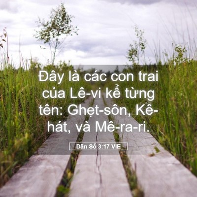 Picture 05 - Dân Số 3:17 VIE - Đây là các con trai của Lê-vi kể từng - Bible Verse Picture