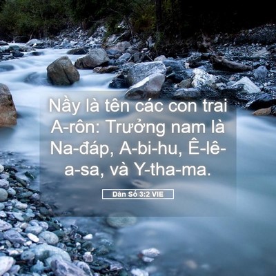 Picture 05 - Dân Số 3:2 VIE - Nầy là tên các con trai A-rôn: Trưởng - Bible Verse Picture