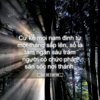 Picture 05 - Dân Số 3:28 VIE - Cứ kể mọi nam đinh từ một tháng sắp - Bible Verse Picture