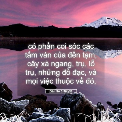 Picture 05 - Dân Số 3:36 VIE - có phần coi sóc các tấm ván của đền - Bible Verse Picture