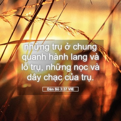 Picture 05 - Dân Số 3:37 VIE - những trụ ở chung quanh hành lang và lỗ - Bible Verse Picture