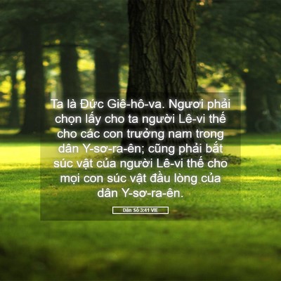 Picture 05 - Dân Số 3:41 VIE - Ta là Đức Giê-hô-va. Ngươi phải chọn - Bible Verse Picture