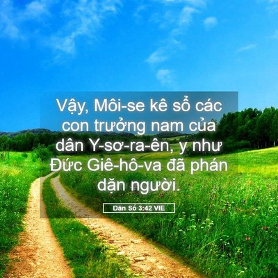 Picture 05 - Dân Số 3:42 VIE - Vậy, Môi-se kê sổ các con trưởng nam - Bible Verse Picture