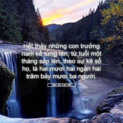 Picture 05 - Dân Số 3:43 VIE - Hết thảy những con trưởng nam kể - Bible Verse Picture